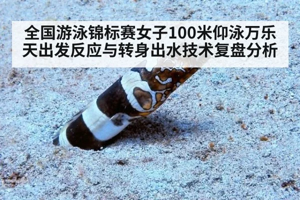全国游泳锦标赛女子100米仰泳万乐天出发反应与转身出水技术复盘分析