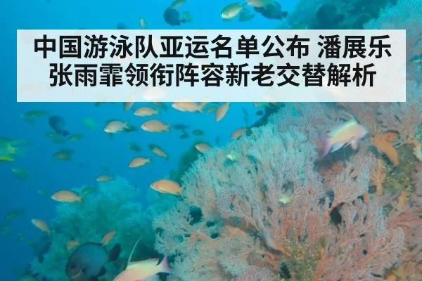 中国游泳队亚运名单公布 潘展乐张雨霏领衔阵容新老交替解析